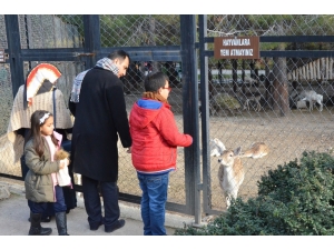 Tarsus Hayvan Parkını Hafta Sonunda 5 Bin 500 Kişi Gezdi