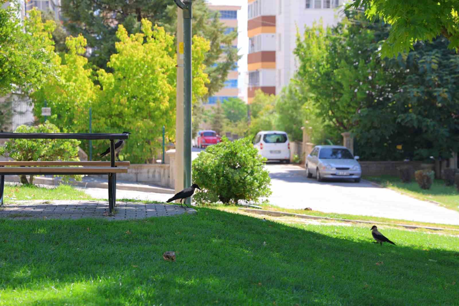 kahramanmaras-ta-kargalar-parki-mesken-tuttu