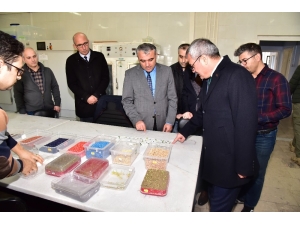 Vali Deniz İncelemelerde Bulundu