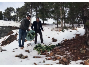 Muğla’daki Yaban Hayvanlarına Yem