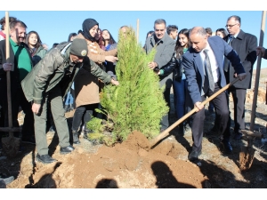 Elazığ’da Hayrettin Karaca Anısına 200 Fidan Dikildi