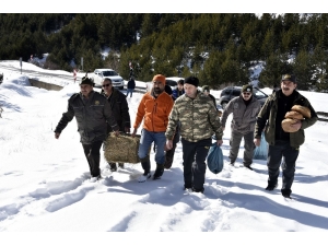 Gümüşhane’de Aç Kurtların Köye İndiği Bölgeye Yem Bırakıldı