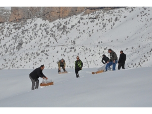 Şırnak’ta Yaban Hayvanları İçin Doğaya Yem Bırakıldı