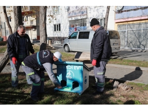 Ahşap Atıklardan Kedi Evleri Yaptılar