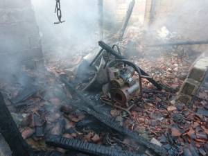 Dam Yangınında 5 Hayvan Telef Oldu