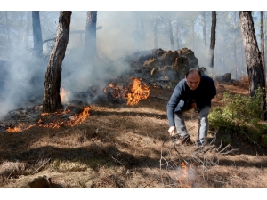Seydikemer’de Kış Ortasında Orman Yangını