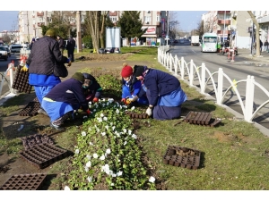 Belediye Ekipleri Çorlu’yu Güzelleştirmeye Çalışıyor