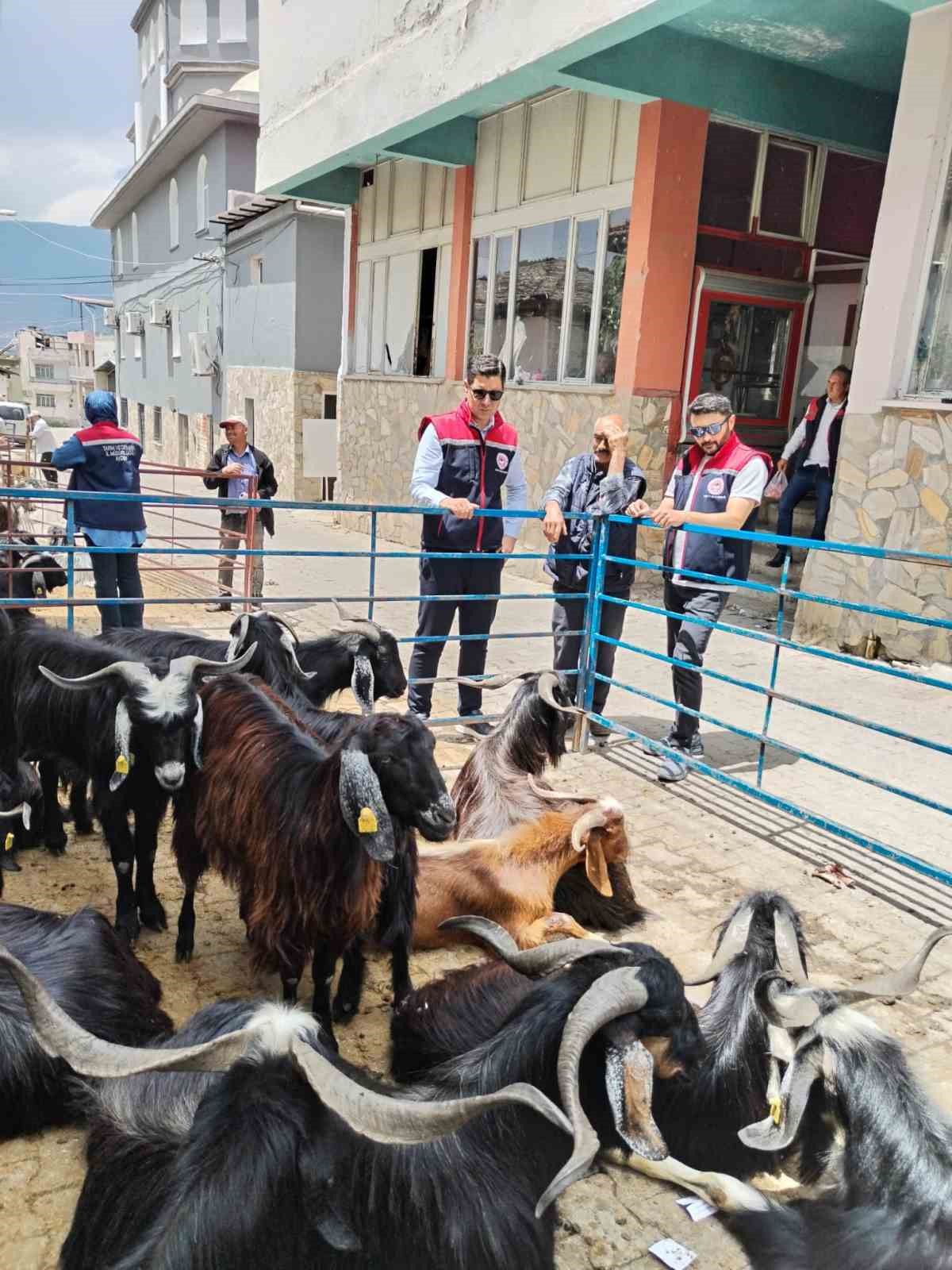bozdogan-da-kurban-satis-yerleri-denetlendi