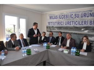 Tarla Balıkçılarının Sorunu Yerinde Masaya Yatırıldı