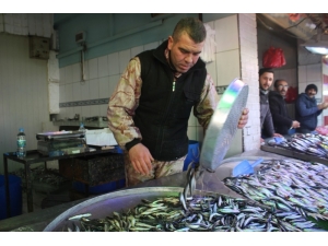 Balık Azalınca Fiyatlar Yükseldi