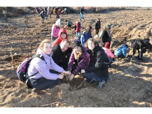 Çanakkale’de ’Toprak Dede’ İçin 100 Fidan Dikildi