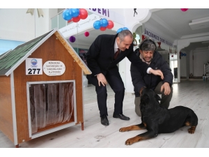 Stk’lardan Örnek Davranış