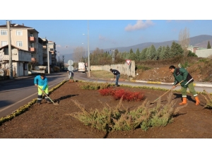 Büyükşehir Belediyesi Körfez’i Yeşillendiriyor