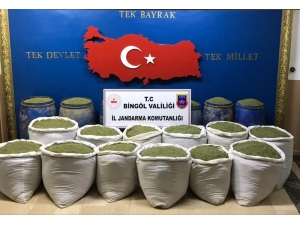 Jandarmadan Uyuşturucu Operasyonu, 1 Ton 351 Kilo Toz Esrar Ele Geçirildi