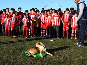 Minik Kramponlar İçin Sömestr Turnuvası