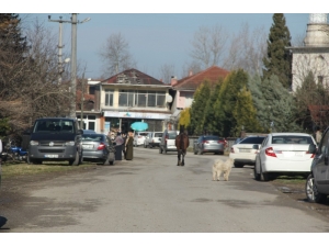 Ahırdan Kaçan At Trafikte Tehlike Oluşturdu