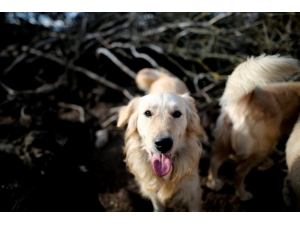 Belediye "Kanun Var" Vatandaşlar İse "Çocuğum Var" Diyor