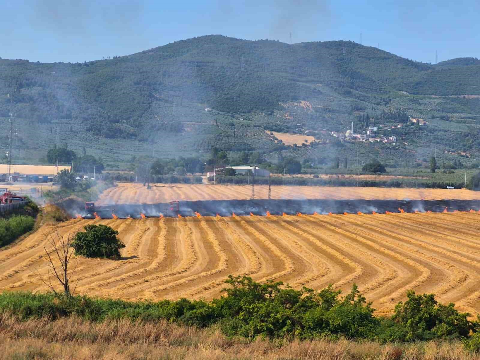 gemlik-serbest-bolge-yakininda-yangin