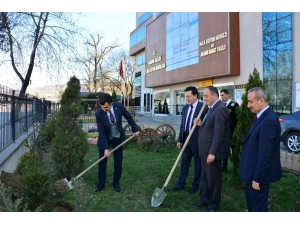 "Toprak Dede"yi Fidan Dikerek Andılar