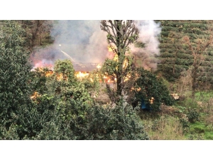Rize’de Ahır Yangını