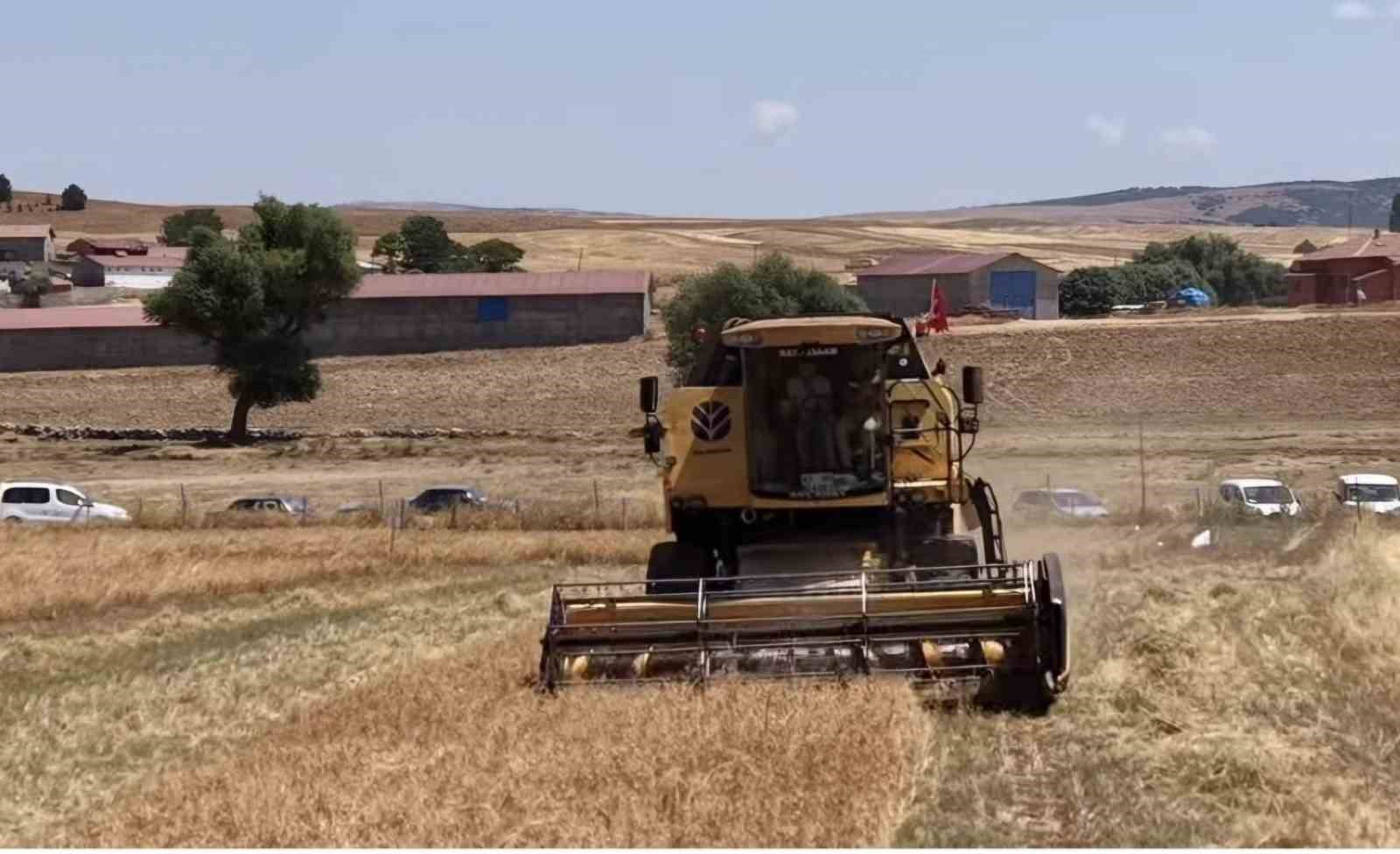 kutahya-da-18-farkli-nohut-cesidi-ayni-tarlada-tanitildi