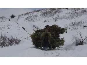 Besicilerin Zorlu Kış Mesaisi