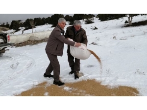 Kırıkkale’de Hayvanlar İçin Doğaya Yem Bırakıldı