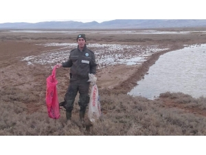 Yasa Dışı Canlı Mühre İle Ördek Avına 13 Bin 415 Lira Ceza