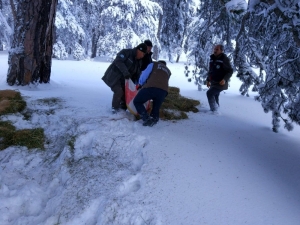 Kütahya’da Yaban Hayvanları İçin Doğaya Yem Bırakıldı