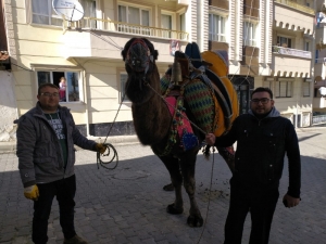 11 Yaşındaki Buldan Beyi Arenalarda Fırtına Estiriyor