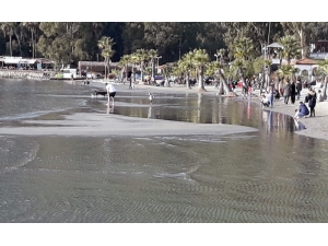 Deniz Suyu 30 Metre Çekildi