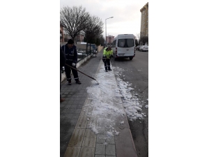 Budama Ve Kar Temizliği Çalışmaları