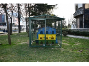 Esenyurt Belediyesi’nden Sokak Hayvanlarına Korunaklı Yuva