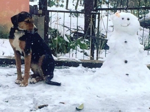 Kar En Çok Çocukları Sevindirdi