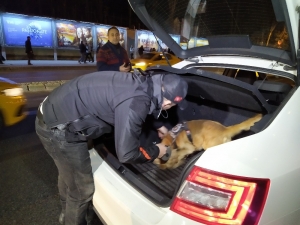 İstanbul Genelinde Asayiş Denetimi