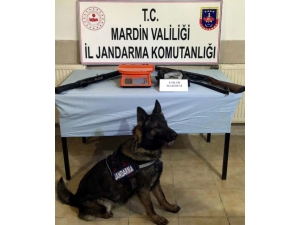 Midyat’ta Jasat Ekipleri Suç Makinesini Yakaladı