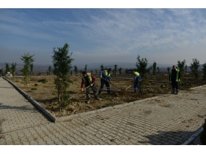 İnegöl Kent Mezarlığı Yeşilleniyor