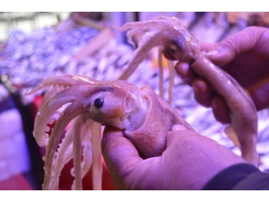 Bu Deniz Ürününü Sadece Bilenler Alıyor