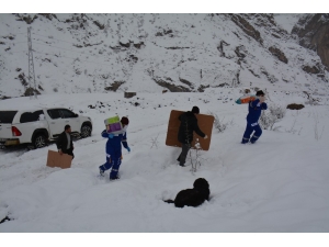 Yaralı Köpeğin Yavrularını Sütle Beslediler