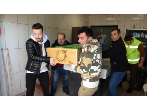 İstanbul’da Karışan Cenaze Bugün Defnedildi