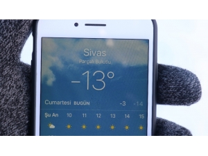 Sivas Eksi 13 Derece İle Buz Tuttu