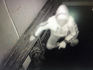 Bilecik’te Görünmemiş Hırsızlık