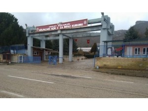 Gölpazarı Açık Ceza İnfaz Kurumu’ndan Kaçan Tutuklu Sayısı 5’e Ulaştı