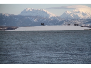 Beyşehir Gölü Milli Parkı Kış Mevsiminde De Bir Başka Güzel