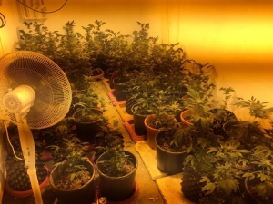 Kuşadası’nda Uyuşturucu İmalatcısına Operasyon