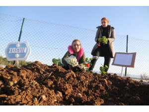 Depremde Kalp Krizinden Ölen Köpek Mersin’deki Hayvan Mezarlığına Gömüldü