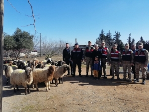 Kahramanmaraş’ta 19 Küçükbaş Hayvan Çalan 3 Kişiye Adli Kontrol