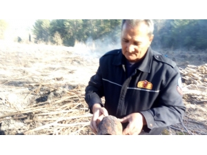 Seydikemer’de Yanmak Üzere Olan Kaplumbağayı İtfaiye Ekipleri Kurtardı