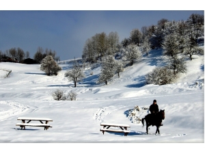 Sakin Şehir Şavşat’ta Çekilen Fotoğraflar Hayran Bırakıyor