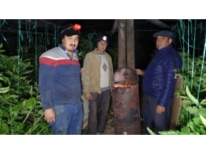 Antalya’da Üreticinin Don Nöbeti Devam Ediyor